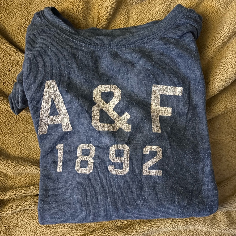 Abercrombie & Fitch Blue Crewneck Sweatshirt